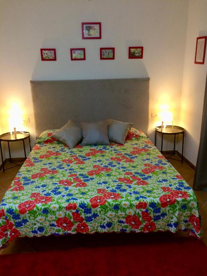 Guesthouse Villa Rosa Berat Extérieur photo